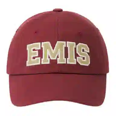 emis Logo -