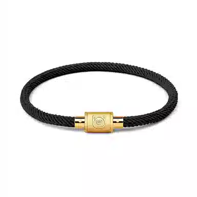 灰鱼 十二生肖手绳新中式国潮风简约单蛇年本命年太岁年转运珠手工编织编制金色红色黑色叠戴小众高级感好运 合金 手链 男女同款情侣款