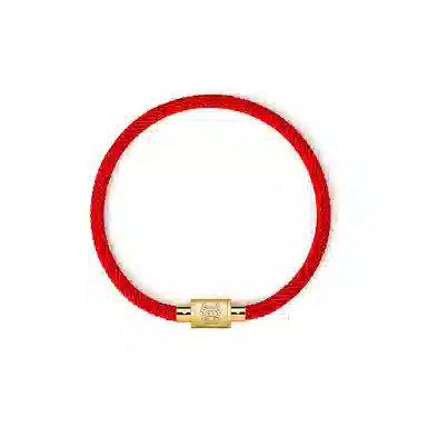 灰鱼 十二生肖手绳新中式国潮风简约单蛇年本命年太岁年转运珠手工编织编制金色红色黑色叠戴小众高级感好运 合金 手链 男女同款情侣款