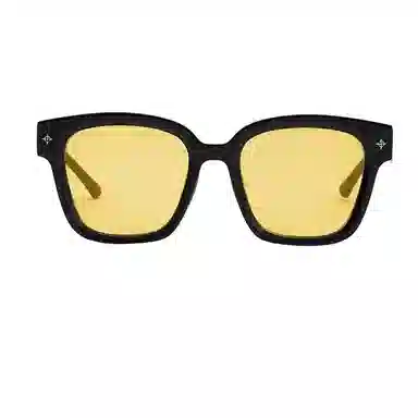 THE OWNER Sunglasses