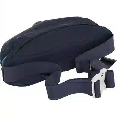 GREGORY Waistpack 2.5L