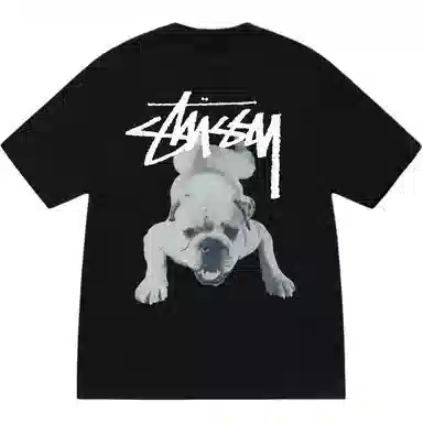 Stussy SS25 Stock Dog Tee