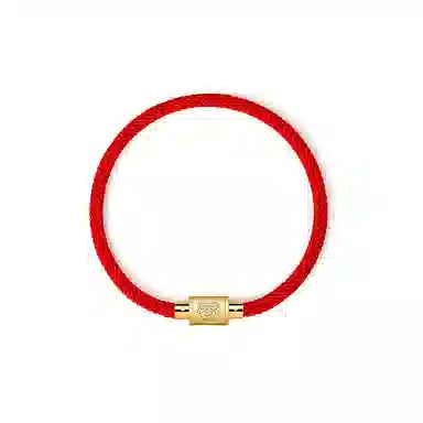 灰鱼 十二生肖手绳新中式国潮风简约单蛇年本命年太岁年转运珠手工编织编制金色红色黑色叠戴小众高级感好运 合金 手链 男女同款情侣款