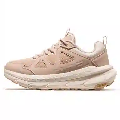 CAMEL 2.0