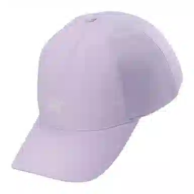 Arcteryx Logo