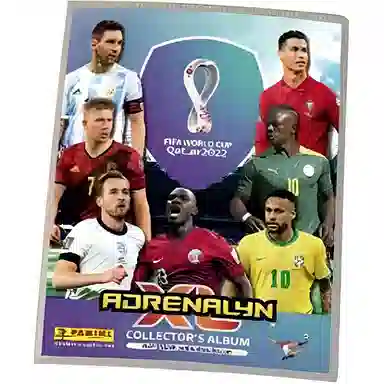 PANINI 2022
