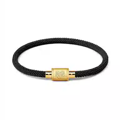 灰鱼 十二生肖手绳新中式国潮风简约单蛇年本命年太岁年转运珠手工编织编制金色红色黑色叠戴小众高级感好运 合金 手链 男女同款情侣款