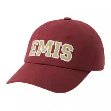 emis Logo -