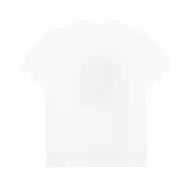 Alexander McQueen T