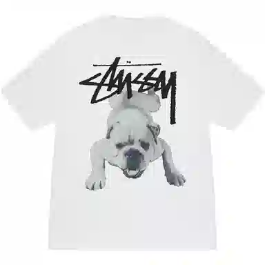 Stussy SS25 Stock Dog Tee