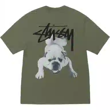 Stussy SS25 Stock Dog Tee