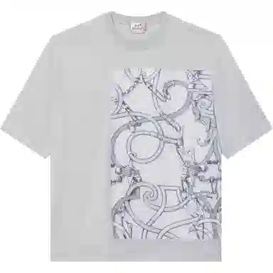 HERMES T