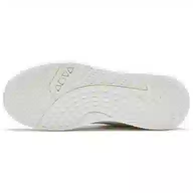 Anta