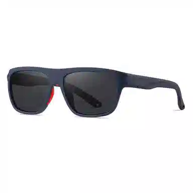 PSACSS TR90