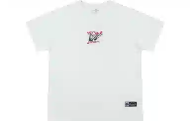 VEIDOORN T