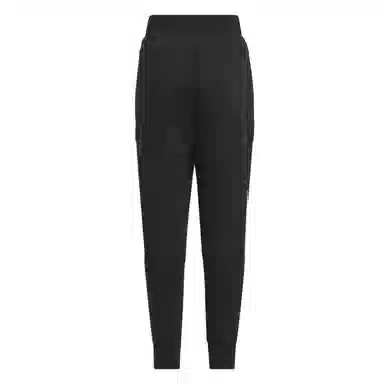 adidas Urban Outdoor Pants