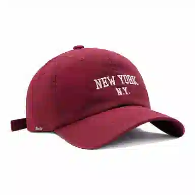 PLAN IN NEW YORK