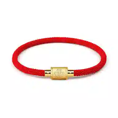 灰鱼 十二生肖手绳新中式国潮风简约单蛇年本命年太岁年转运珠手工编织编制金色红色黑色叠戴小众高级感好运 合金 手链 男女同款情侣款