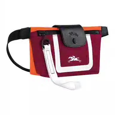 LONGCHAMP Le Pliage 19
