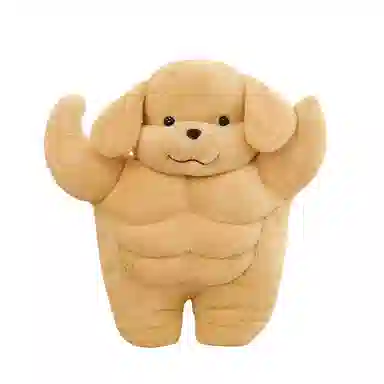 35cm50cm65cm