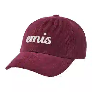emis Logo -