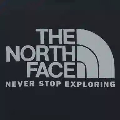 THE NORTH FACE Cotton Logo Ls Rtee LogoT