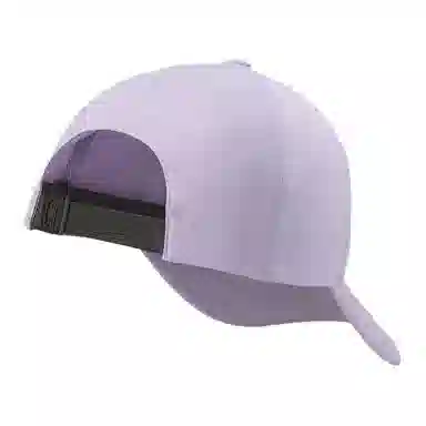 Arcteryx Logo