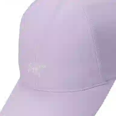 Arcteryx Logo