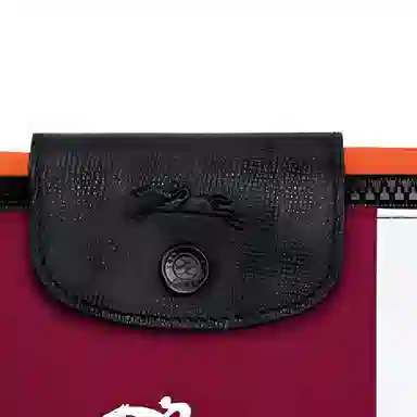 LONGCHAMP Le Pliage 19