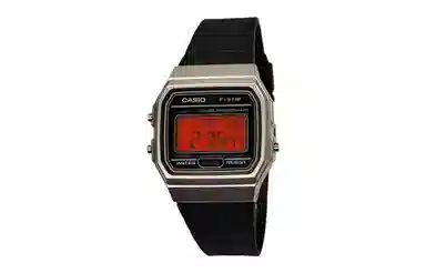 CASIO