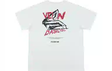 VEIDOORN T