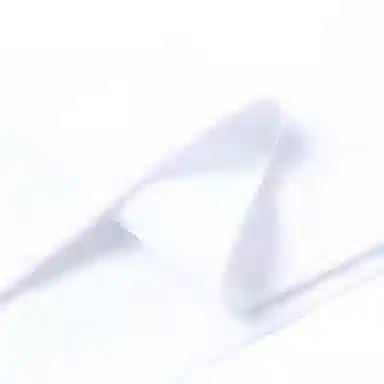 Alexander McQueen SS23 T