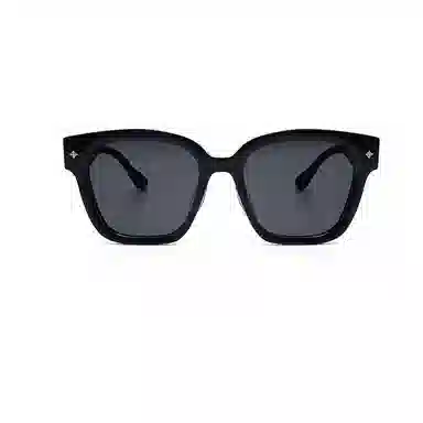 THE OWNER Sunglasses