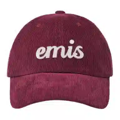 emis Logo -