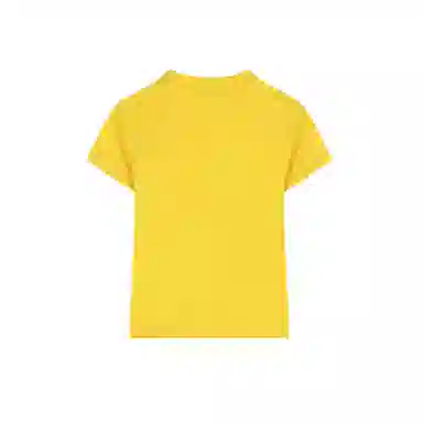 NFV T