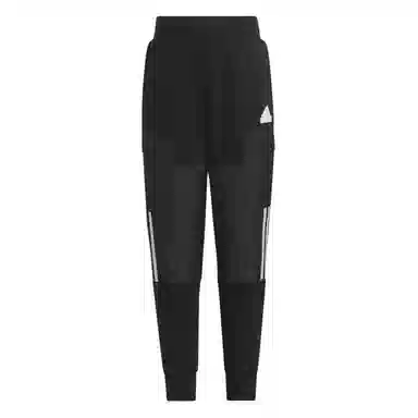 adidas Urban Outdoor Pants