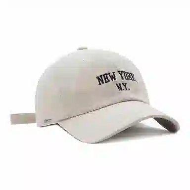 PLAN IN NEW YORK