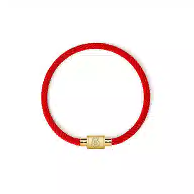 灰鱼 十二生肖手绳新中式国潮风简约单蛇年本命年太岁年转运珠手工编织编制金色红色黑色叠戴小众高级感好运 合金 手链 男女同款情侣款