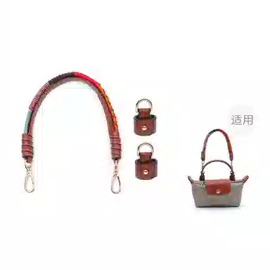 longchampmini