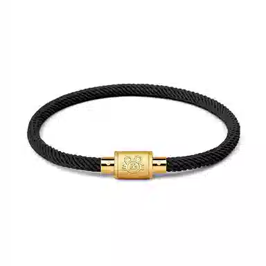 灰鱼 十二生肖手绳新中式国潮风简约单蛇年本命年太岁年转运珠手工编织编制金色红色黑色叠戴小众高级感好运 合金 手链 男女同款情侣款