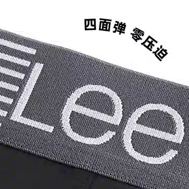 Lee Logo 1