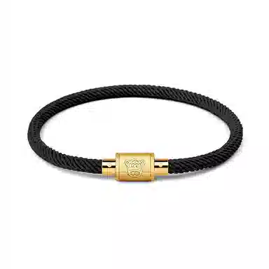 灰鱼 十二生肖手绳新中式国潮风简约单蛇年本命年太岁年转运珠手工编织编制金色红色黑色叠戴小众高级感好运 合金 手链 男女同款情侣款