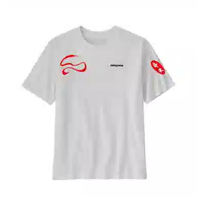 patagonia ResponsibiliT