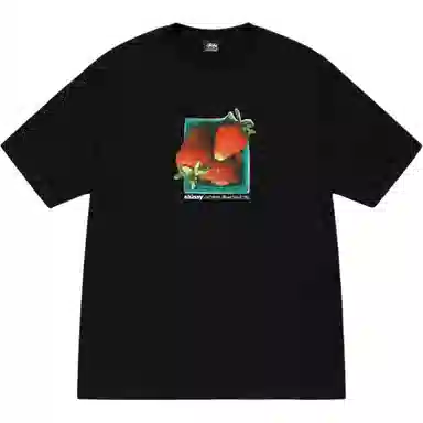 Stussy SS25 BERRIES TEE T