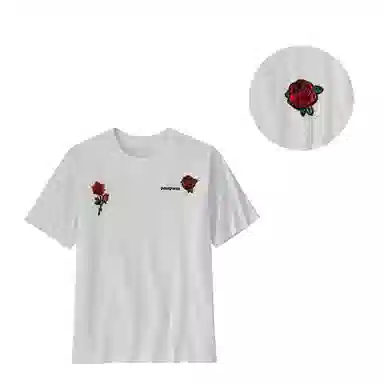 patagonia T