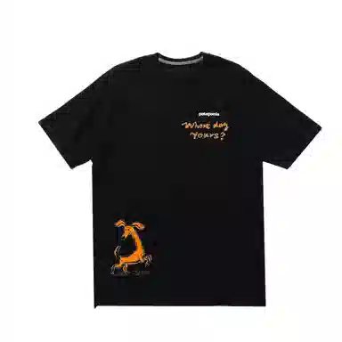 patagonia ResponsibiliT