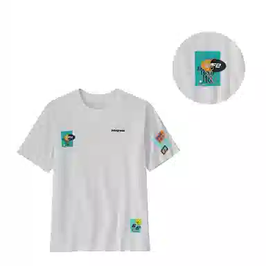 patagonia ResponsibiliT