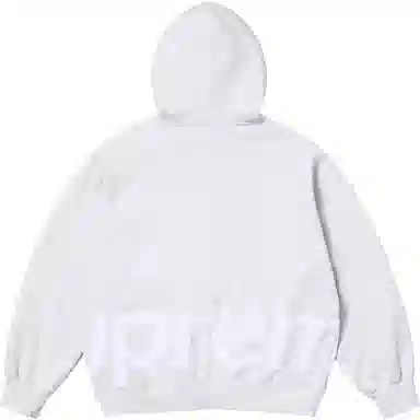 Supreme SS25 Big Logo Zip Up Hooded Sweatshirt