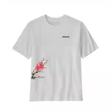 patagonia ResponsibiliT