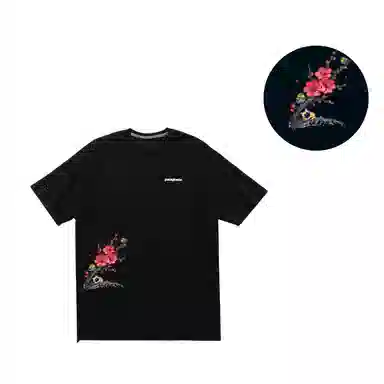 patagonia ResponsibiliT